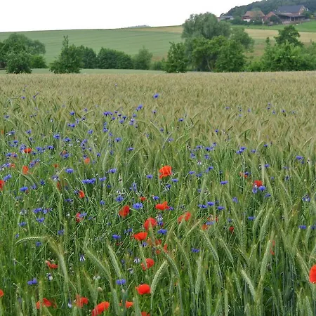 Ruheparadies Im Windfeld Апартаменты