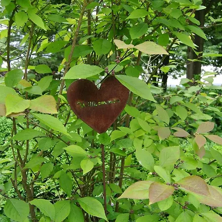 Ruheparadies Im Windfeld Apartmán