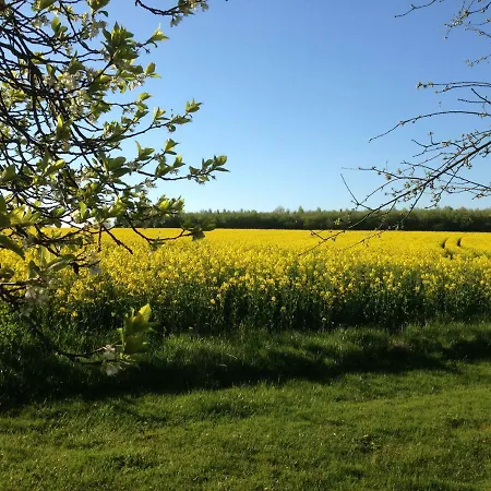 Апартаменты Ruheparadies Im Windfeld