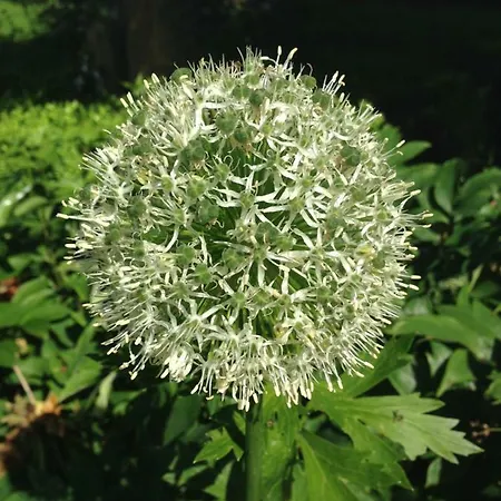 Ruheparadies Im Windfeld Apartmán Vlotho