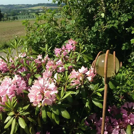 Ruheparadies Im Windfeld *