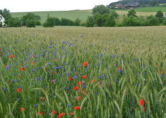 Ruheparadies Im Windfeld Lejlighed