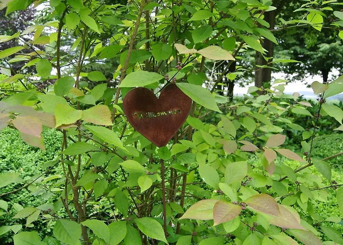 Ruheparadies Im Windfeld Lejlighed