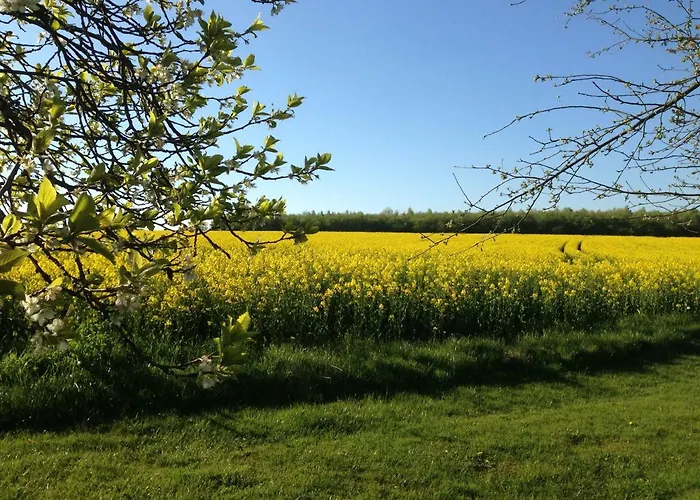 Lejlighed Ruheparadies Im Windfeld