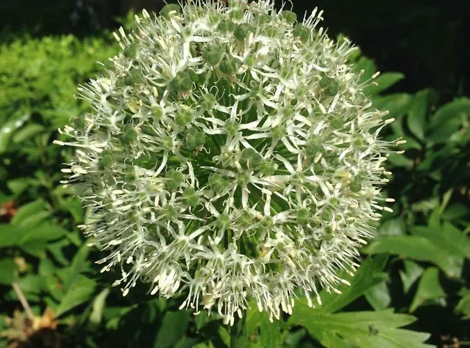 Ruheparadies Im Windfeld Lejlighed Vlotho